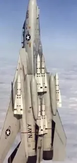 F-14 jet ascending vertically into cloudy sky.