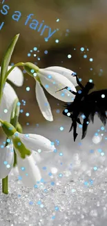 Snowdrop flowers with fairy silhouette on textured snow background.