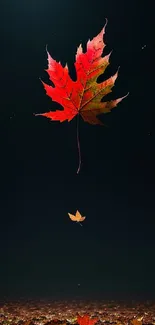 Falling red leaf against a dark background.