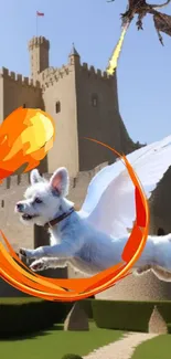 Flying dog with wings over a castle and vibrant orange swirl.