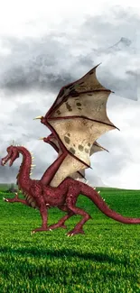 Red dragon on green field with cloudy sky backdrop.