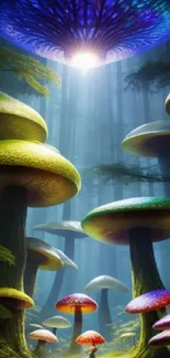 Fantasy forest with giant mushrooms and a UFO, creating a mystical atmosphere.