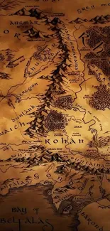 Intricate fantasy map wallpaper featuring brown tones.