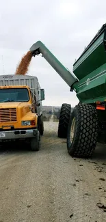 Farm machines loading grain efficiently.