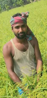 Farmer stands in lush green rice field, sunny day.