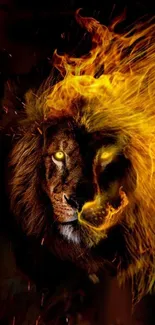 Felidae Carnivore Lion Live Wallpaper