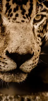 Felidae Nature Carnivore Live Wallpaper