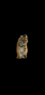 Felidae Terrestrial Animal Art Live Wallpaper