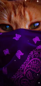 Cat with purple bandana, mysterious eyes visible.