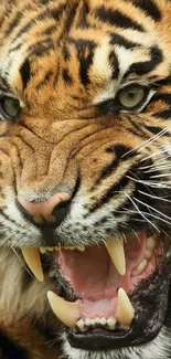 Close-up of a fierce roaring tiger with bold stripes and sharp teeth.