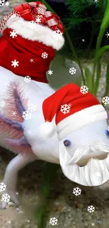 Festive axolotl wearing Santa hat and sack in a holiday-themed wallpaper.