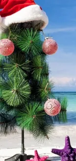 Tropical Christmas tree with baubles and Santa hat on a sunny beach.