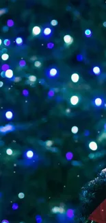 Festive wallpaper with twinkling blue lights and holiday decorations.