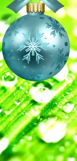 Blue ornament with snowflakes on green leaf background.