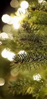 Green branches with festive bokeh background.