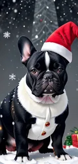 Bulldog with a Santa hat and gifts in a winter theme.