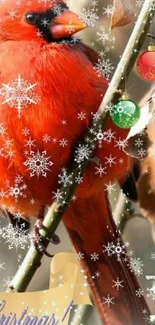 Vibrant cardinal with snowflakes and holiday ornaments.