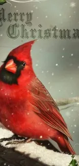 Red cardinal with Christmas greeting in snow.