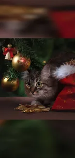 Cat under Christmas tree with gold ornaments and a red stocking.