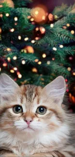 Cute kitten sitting by a Christmas tree with lights.