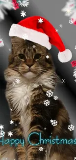 Cat in Santa hat with festive Christmas decor.