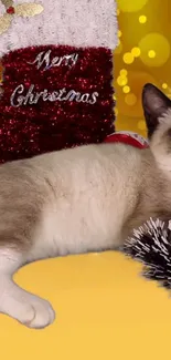 Cat lying by Christmas stocking with golden bokeh lights.