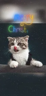 Adorable cat with Merry Christmas neon glow on dark teal background.