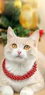 Cute cat with red beads in a festive holiday setting.