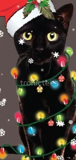 Black cat with Santa hat and Christmas lights.