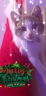 Kitten in Christmas stocking with festive greeting.