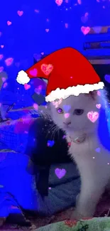 Festive white kitten with Santa hat in blue lighting as mobile wallpaper.