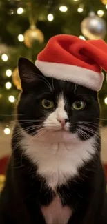 A festive black and white cat wearing a Santa hat against a Christmas tree.