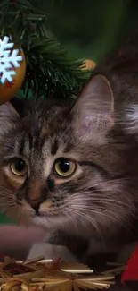 Cat under a Christmas tree with festive decor.