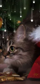 Festive cat hiding under a Christmas tree with red bag.