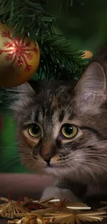 Cat under Christmas tree with golden ornaments.