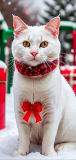 White cat with red holiday bow sitting in snow.