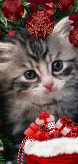 Fluffy kitten with red Christmas ornaments and gifts.