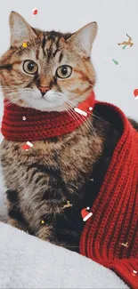 Cute cat with red scarf, festive mobile wallpaper.