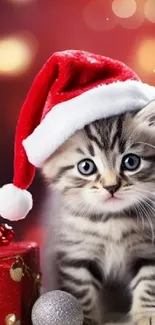 Cute kitten with Santa hat, red festive background.