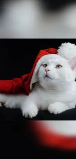 White cat wearing a Santa hat on a black background.