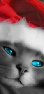 Cat with Santa hat and blue eyes in festive wallpaper.