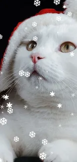 Festive cat in Santa hat with snowflakes falling.