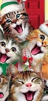 Christmas cats in Santa hats, vibrant and festive.