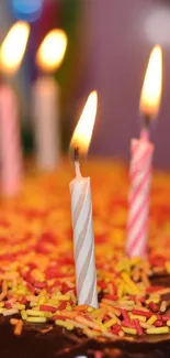 Chocolate cake with candles and colorful sprinkles wallpaper.