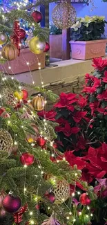 Festive garden with Christmas tree and poinsettias.