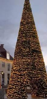 Majestic Christmas tree lit with golden lights in an urban setting.