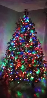 A beautifully decorated Christmas tree with colorful lights in a dimly lit room.