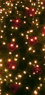 Brightly lit Christmas tree with red and white lights glowing in the dark.