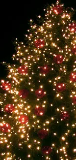 Festive Christmas tree with glowing lights and red ornaments.