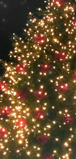 Festive Christmas tree with lights and red ornaments under a starry sky.